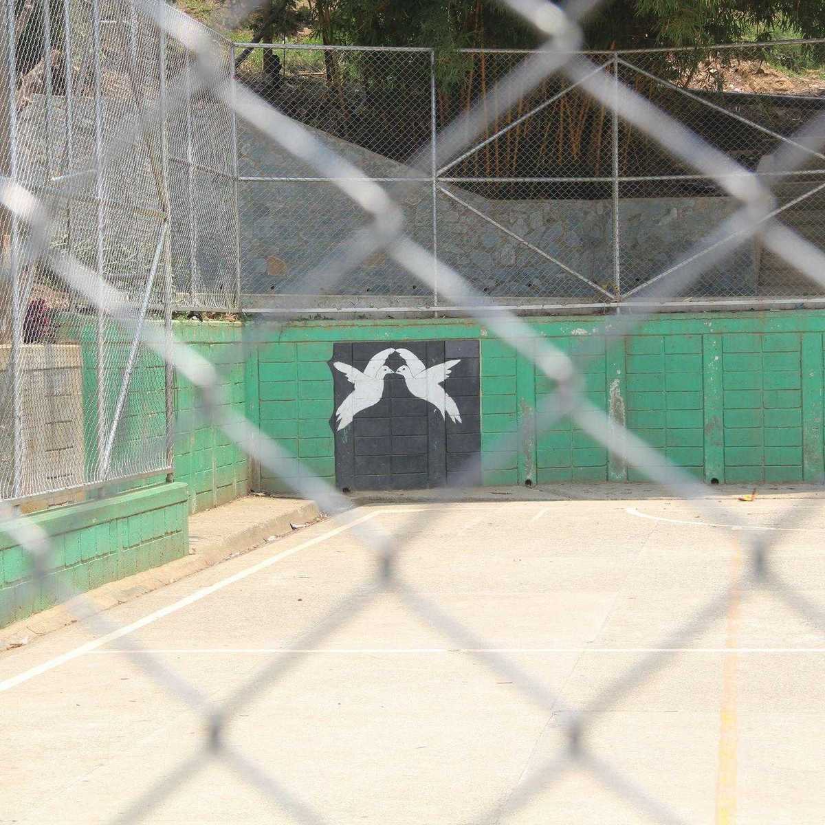 Bild von zwei Friedenstauben auf dem Fußballplatz in der CDB